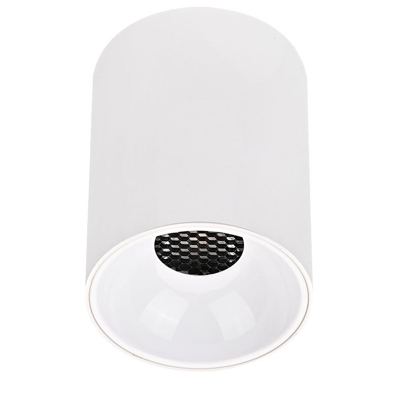 Surface Surfer mounted LED down light 8W